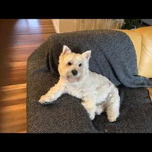 Meet your Posher, Lee-anne